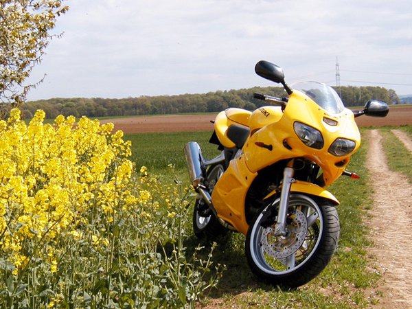 SV650.jpg