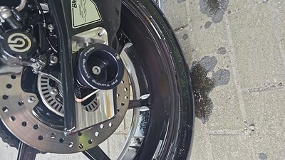 IMG-20241020-WA0016.jpeg