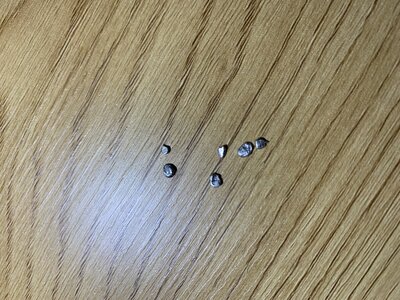 IMG_4044.jpeg