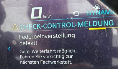 Fehlermeldung Federbein -.jpg
