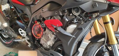 Halter mit Raste.jpg