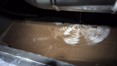 20260221_160134.jpg (387.14 KiB) 205-mal betrachtet 20260221_160134.jpg