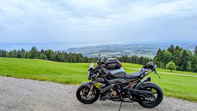 Möggers_oberhalb von Hörbranz_Bodensee 06-2026.jpg