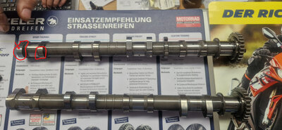20261007_120538 Kopie.jpg