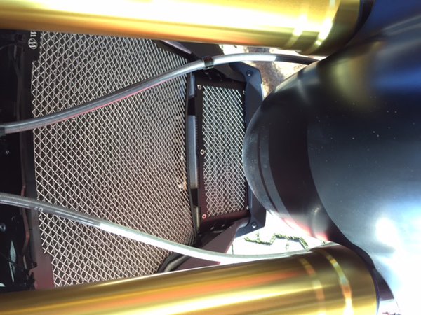 image12.jpeg