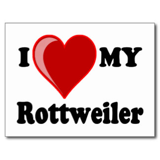 i_liebe_herz_mein_rottweiler_wasser_hund_postkarten-r71d391dafa324482be91f63f15037046_vgbaq_8byvr_324.jpg